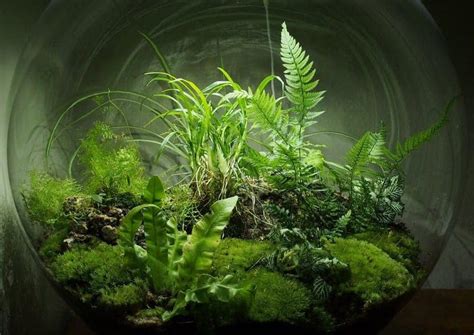 self sustaining pond ecosystem.